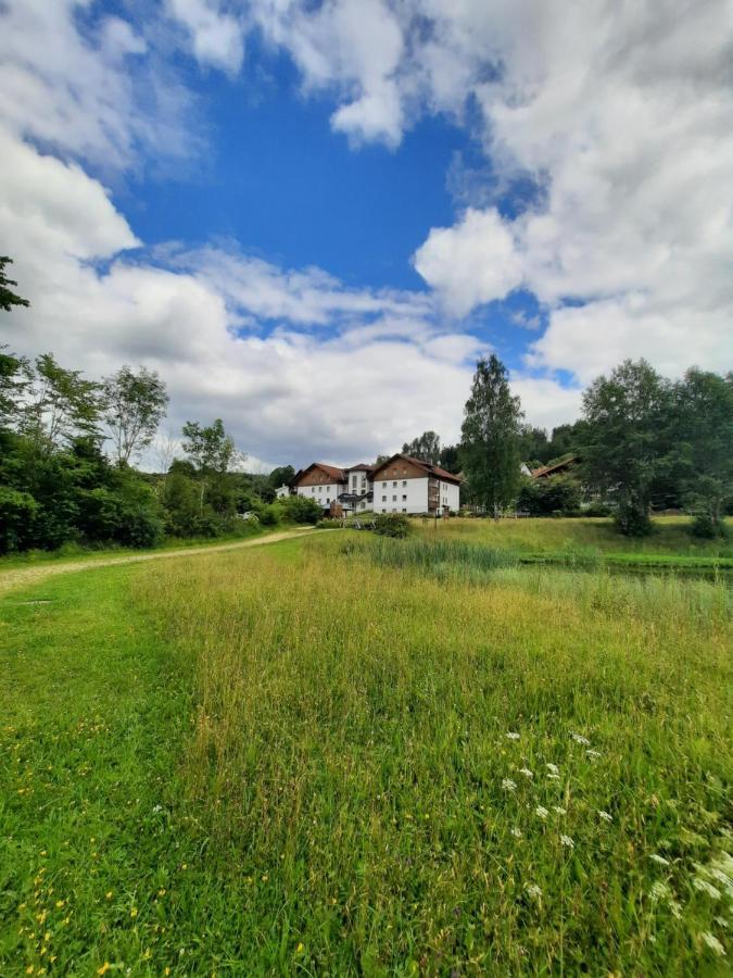 Arberapartment Bayerisch Eisenstein Dış mekan fotoğraf